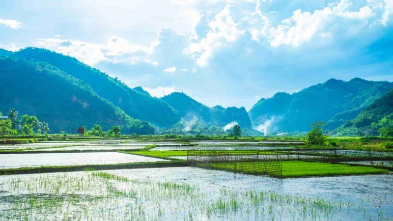 1777341797_Cultural cycling tour Northern Vietnam.webp